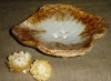 ZIEPJUTRAUKS 005A.JPG